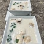 Best Tom Kha Soup in Guttenberg, NJ